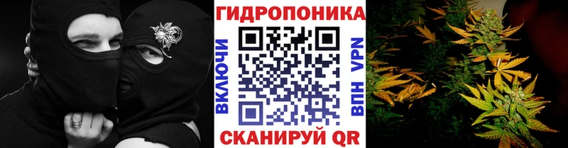 Где купить Костомукша МАРИХУАНА APVP АМФ Галлюциногенные грибы COCAIN ГАШ Меф