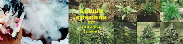 крисы Белоозёрский