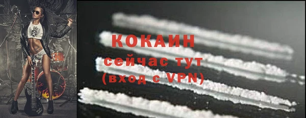 крисы Белоозёрский