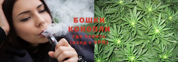 крисы Белоозёрский
