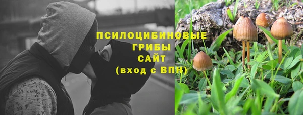 дмт Белокуриха