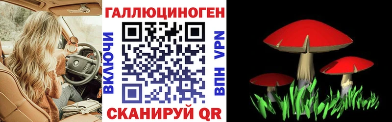 блэк спрут tor  купить   Костомукша  Псилоцибиновые грибы Cubensis 