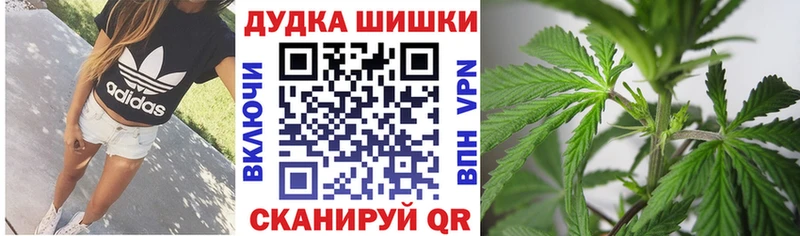 цена наркотик  Костомукша  shop официальный сайт  Марихуана сатива 